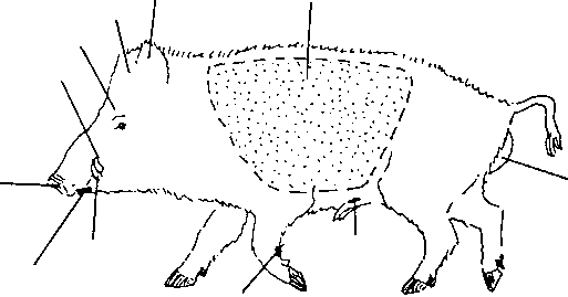 Image2820.gif (4243 octets)