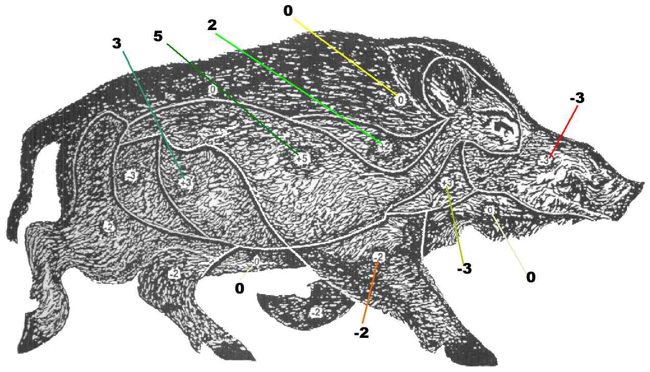 statircibl.jpg (90667 octets)
